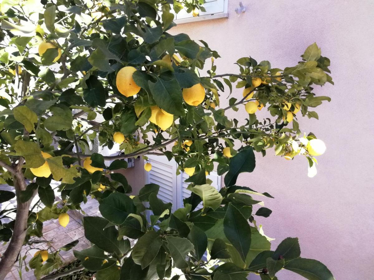 Appartementhaus Elena Jelsa  Bagian luar foto
